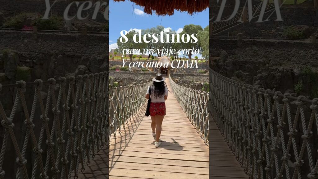 Recorrido por viñedos cercanos a Ciudad de México