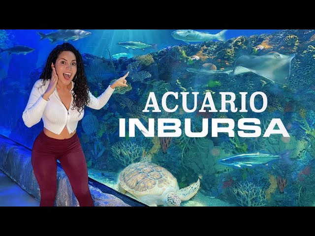 Visita al Acuario Inbursa